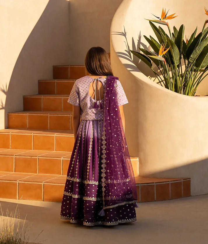 Luxe Lilac Faux Mirror Lehenga Choli Set