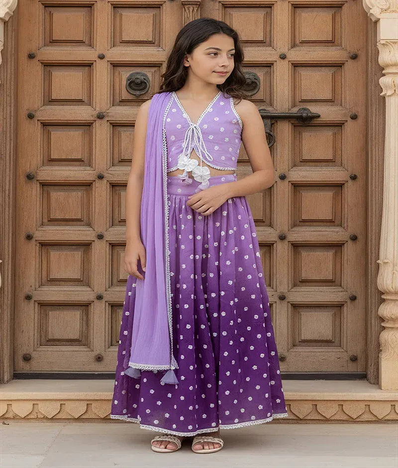 Luxe Lilac Ombre Embroidered Lehenga Choli Set