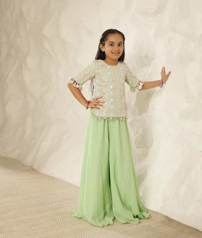 Luxe Lush Elegance: Green Mirror-Embroidered Plazzo Pant set