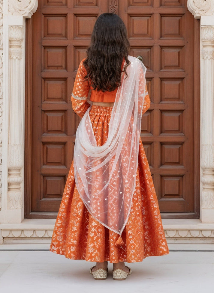 Luxe Orange Chanderi Lehenga Choli