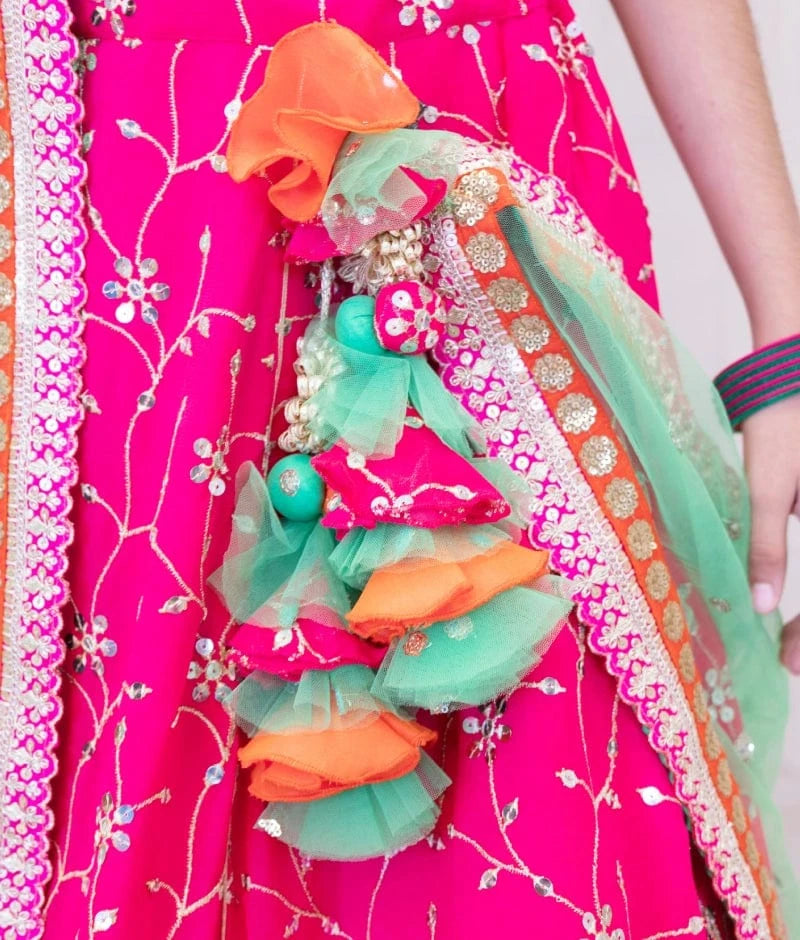 Luxe Orange Embroidered Choli with Lehenga Set