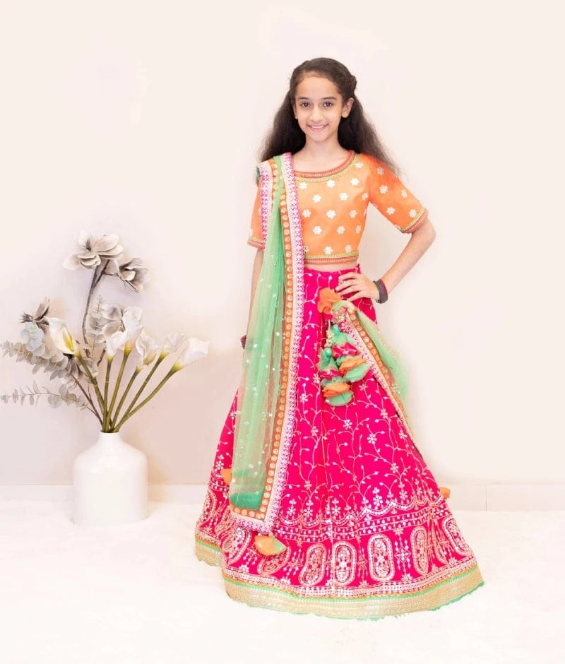 Luxe Orange Embroidered Choli with Lehenga Set
