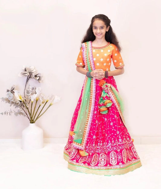 Luxe Orange Embroidered Choli with Lehenga Set