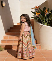Luxe Peach Choli and Embroidery Lehenga Dupatta for Girls