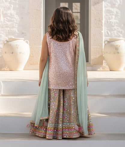 Luxe Peach Embroidered Kurta Sharara Set