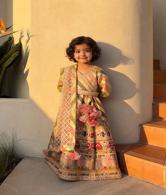 Luxe Peach Embroidery Anarkali with Net Dupatta for Girls