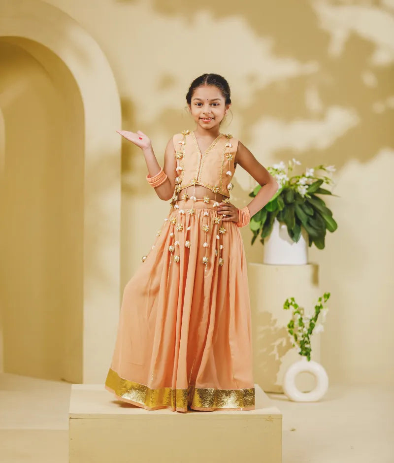 Luxe Peach Georgette Lehenga Choli Set