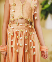 Luxe Peach Georgette Lehenga Choli Set