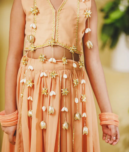 Luxe Peach Georgette Lehenga Choli Set