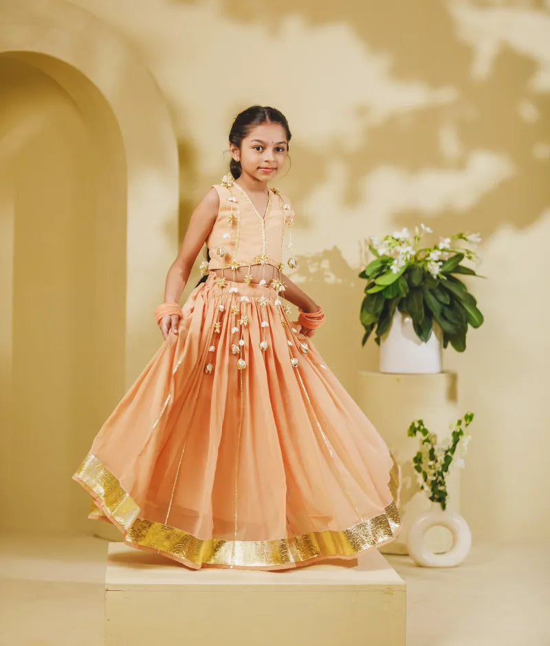 Luxe Peach Georgette Lehenga Choli Set
