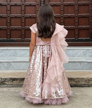 Luxe Peach Sequins Embroidery Lehenga with Choli Organza Dupatta for Girls