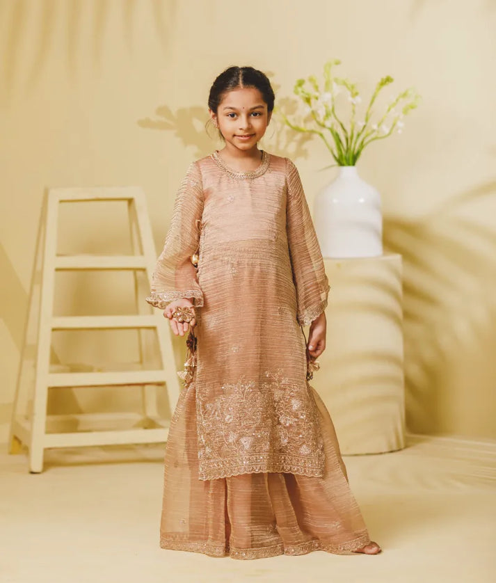 Luxe Peach Tissue Embroidery Long Kurti with Sharara