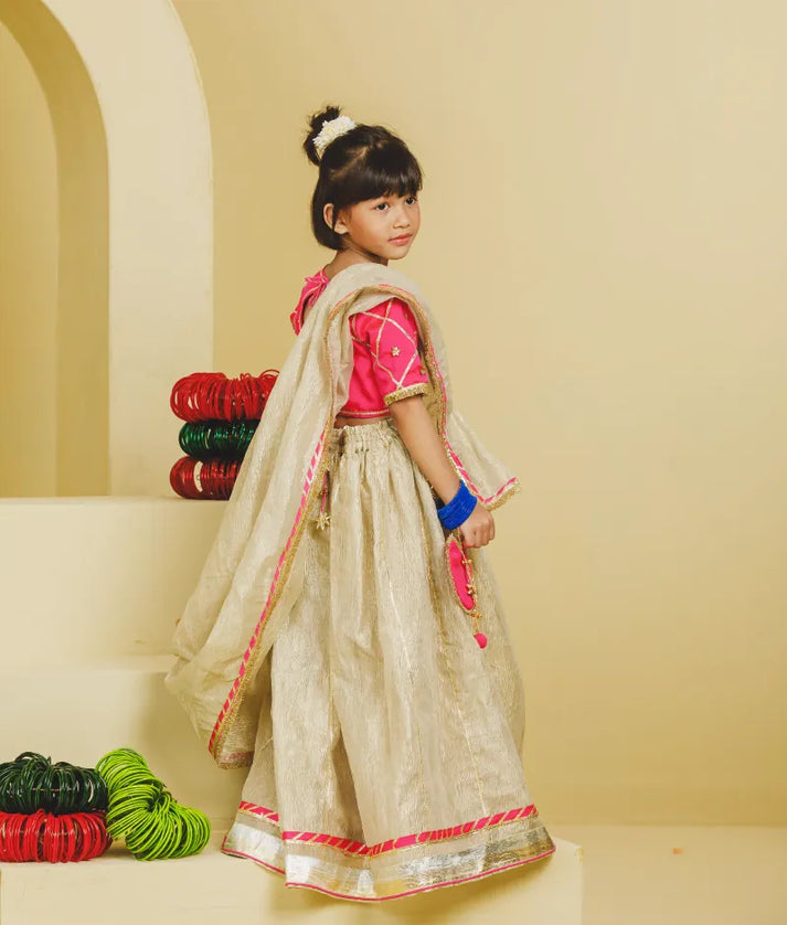 Luxe Pink Aangi Work Choli with Lehenga Set