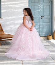 Luxe Pink Embroidered Gown