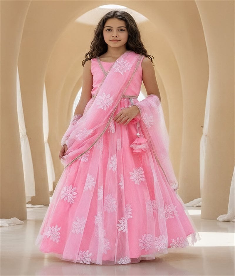 Luxe Pink Embroidered Lehenga Saree