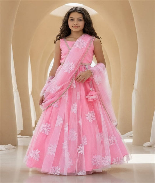 Luxe Pink Embroidered Lehenga Saree