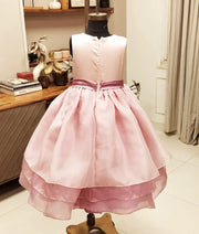 Luxe Pink Embroidered Organza Gown