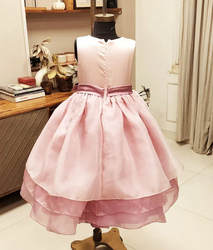 Luxe Pink Embroidered Organza Gown