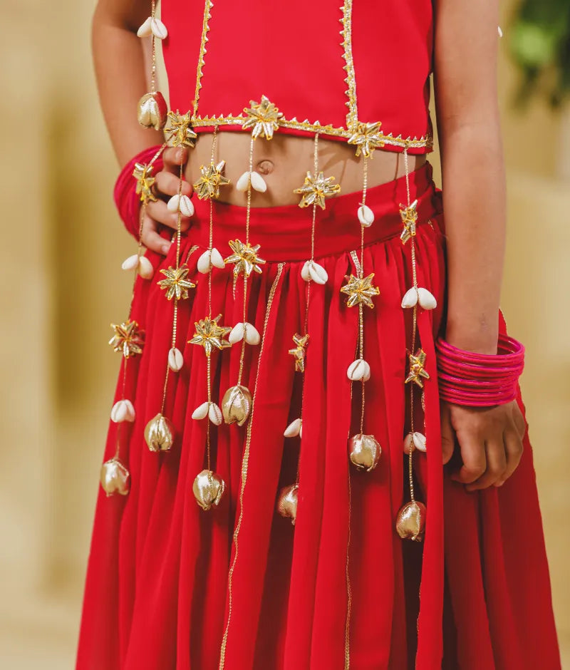 Luxe Pink Georgette Lehenga Choli Set