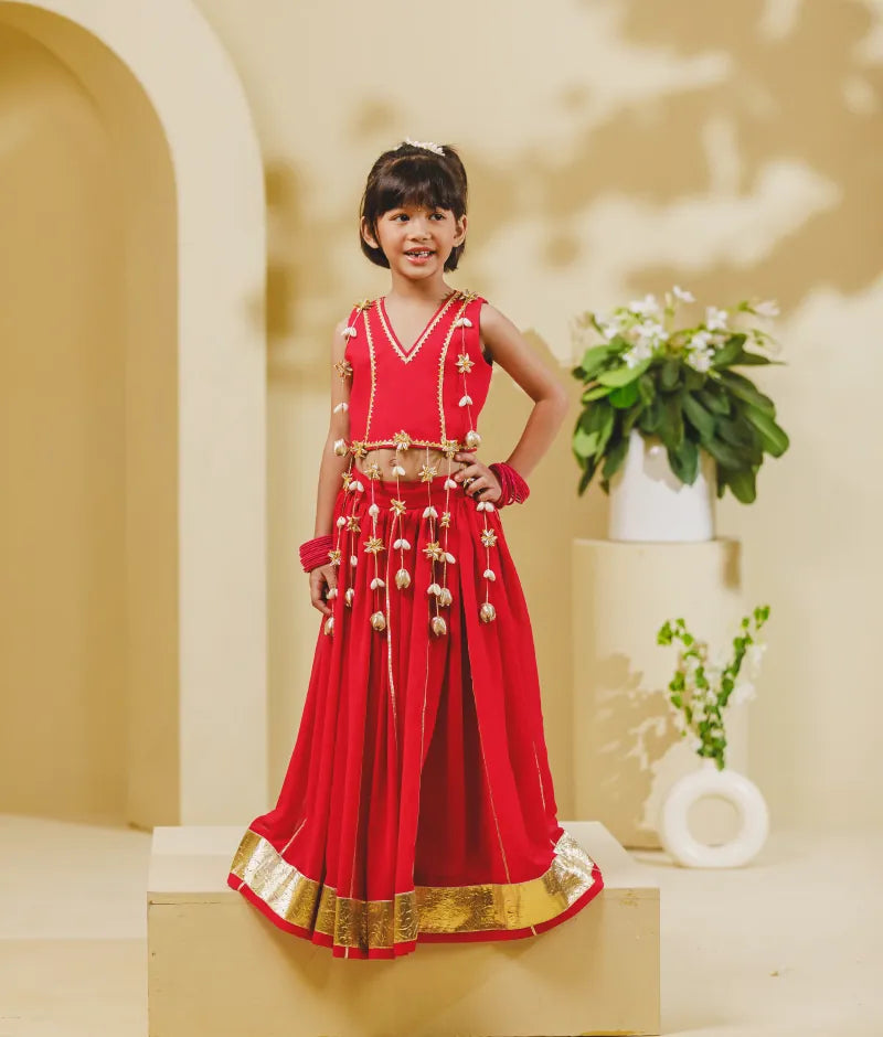 Luxe Pink Georgette Lehenga Choli Set