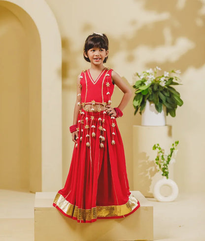 Luxe Pink Georgette Lehenga Choli Set