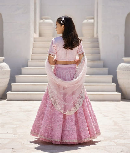 Luxe Pink Thread Embroidered Lehenga Set