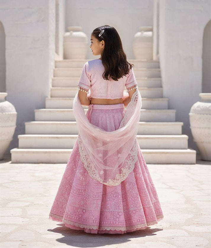 Luxe Pink Thread Embroidered Lehenga Set