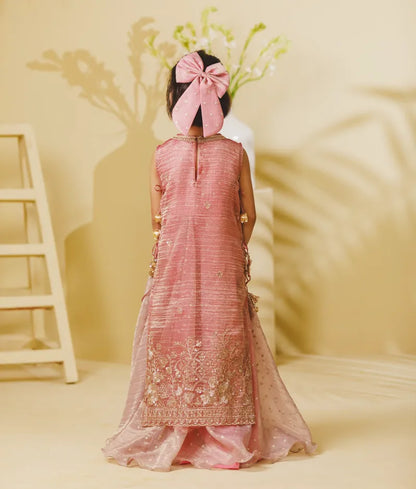 Luxe Pink Tissue Organza Anarkali with Ponchu
