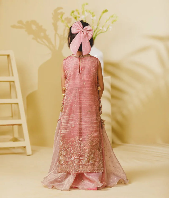 Luxe Pink Tissue Organza Anarkali with Ponchu