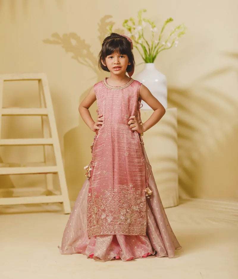 Luxe Pink Tissue Organza Anarkali with Ponchu
