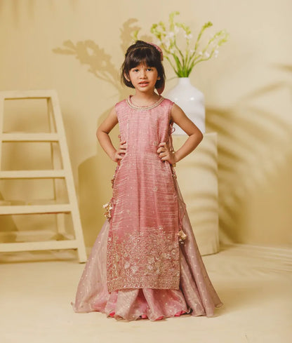 Luxe Pink Tissue Organza Anarkali with Ponchu