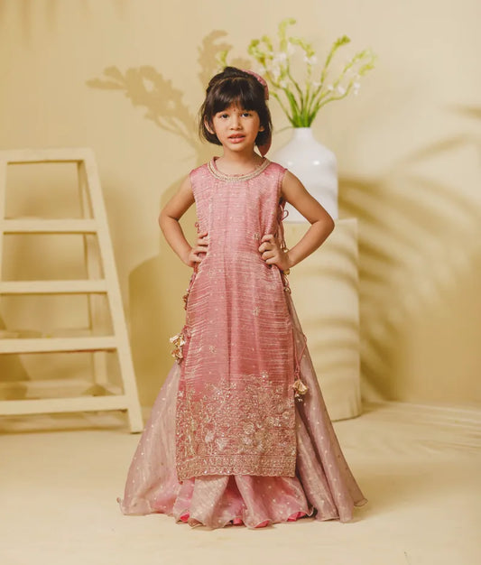 Luxe Pink Tissue Organza Anarkali with Ponchu