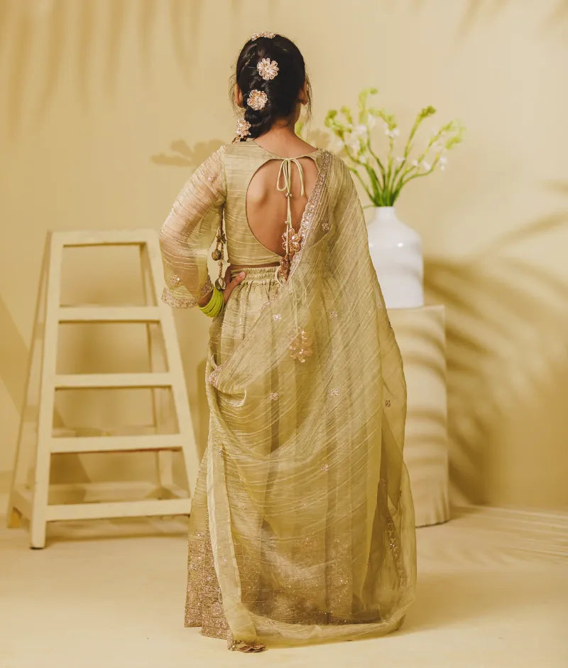 Luxe Pista Green Embroidery Lehenga Choli Set