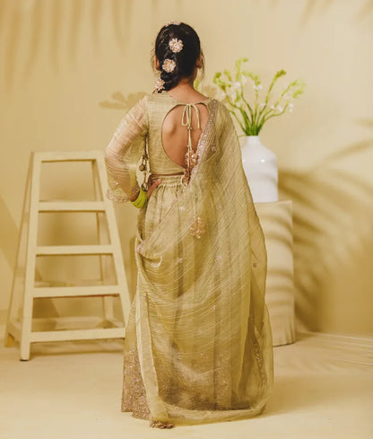 Luxe Pista Green Embroidery Lehenga Choli Set
