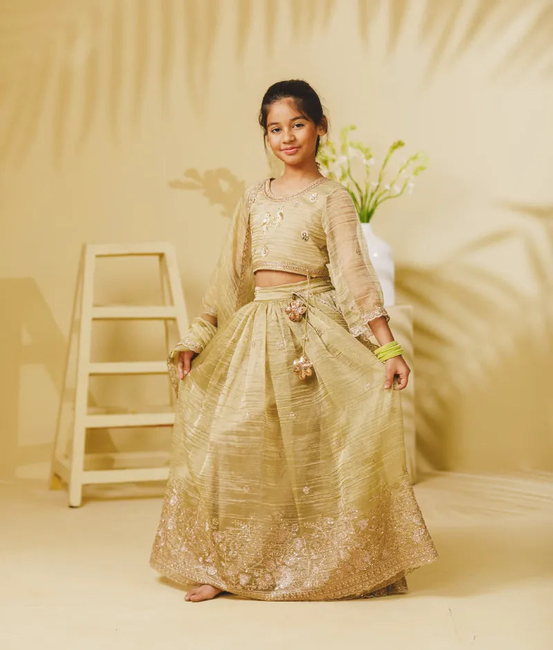 Luxe Pista Green Embroidery Lehenga Choli Set