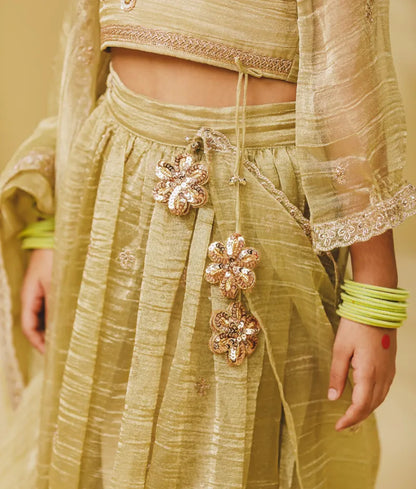 Luxe Pista Green Embroidery Lehenga Choli Set