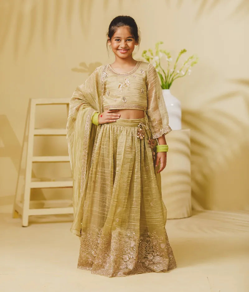 Luxe Pista Green Embroidery Lehenga Choli Set