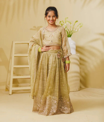 Luxe Pista Green Embroidery Lehenga Choli Set