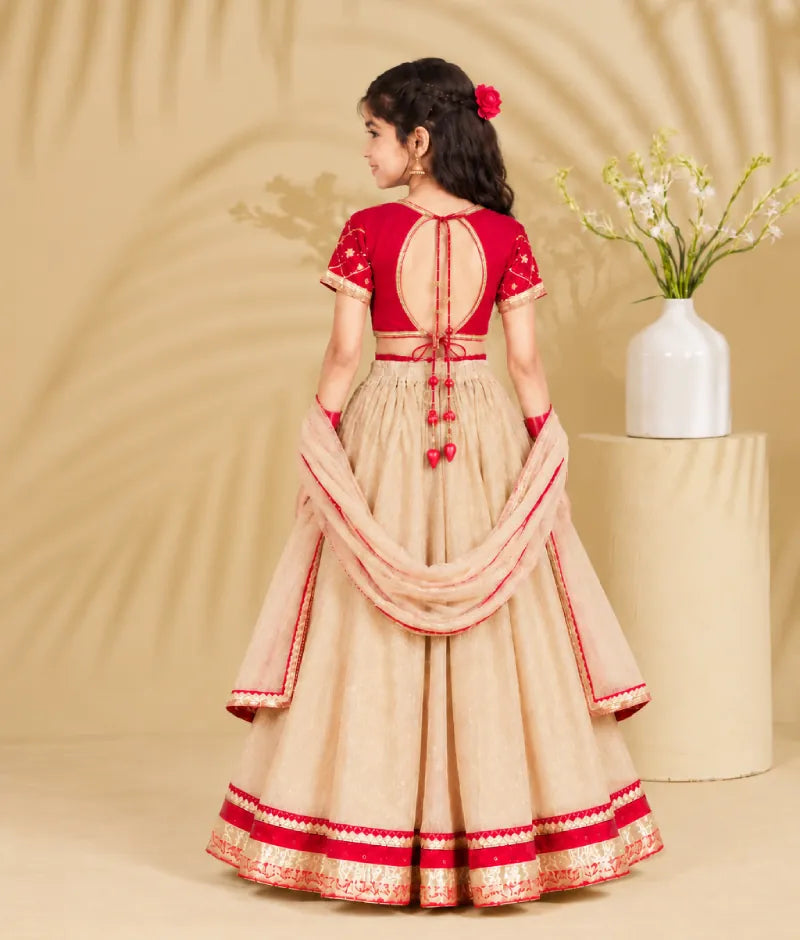 Luxe Red Aangi work Choli with Lehenga Set