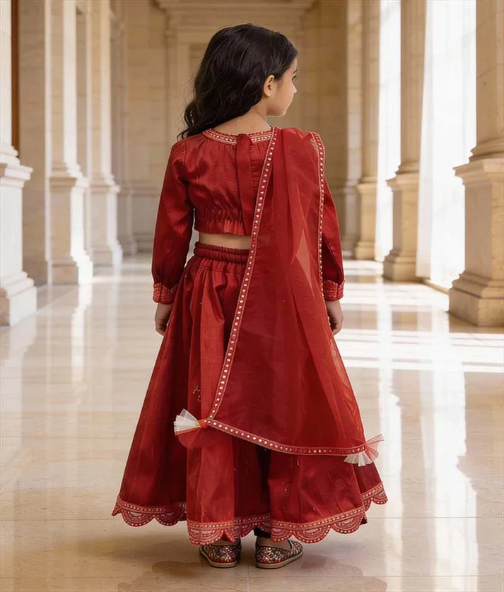 Luxe Red Raw Silk Lehenga Choli Set