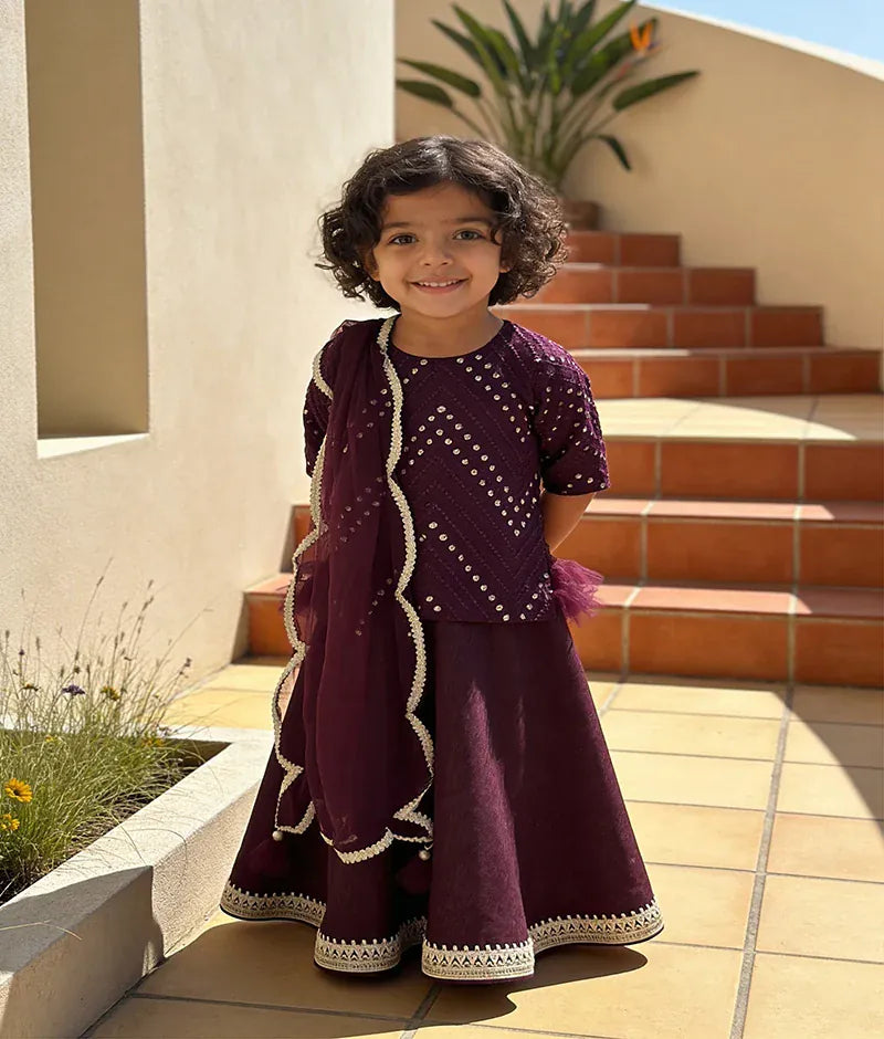 Luxe Wine Burgundy Mirror Embroidery Silk Lehenga with Choli Net Dupatta for Girls
