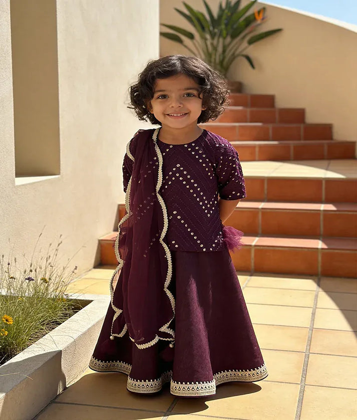 Luxe Wine Burgundy Mirror Embroidery Silk Lehenga with Choli Net Dupatta for Girls