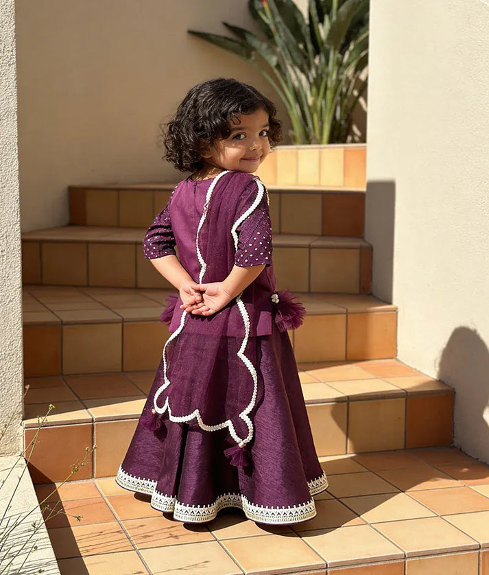 Luxe Wine Burgundy Mirror Embroidery Silk Lehenga with Choli Net Dupatta for Girls