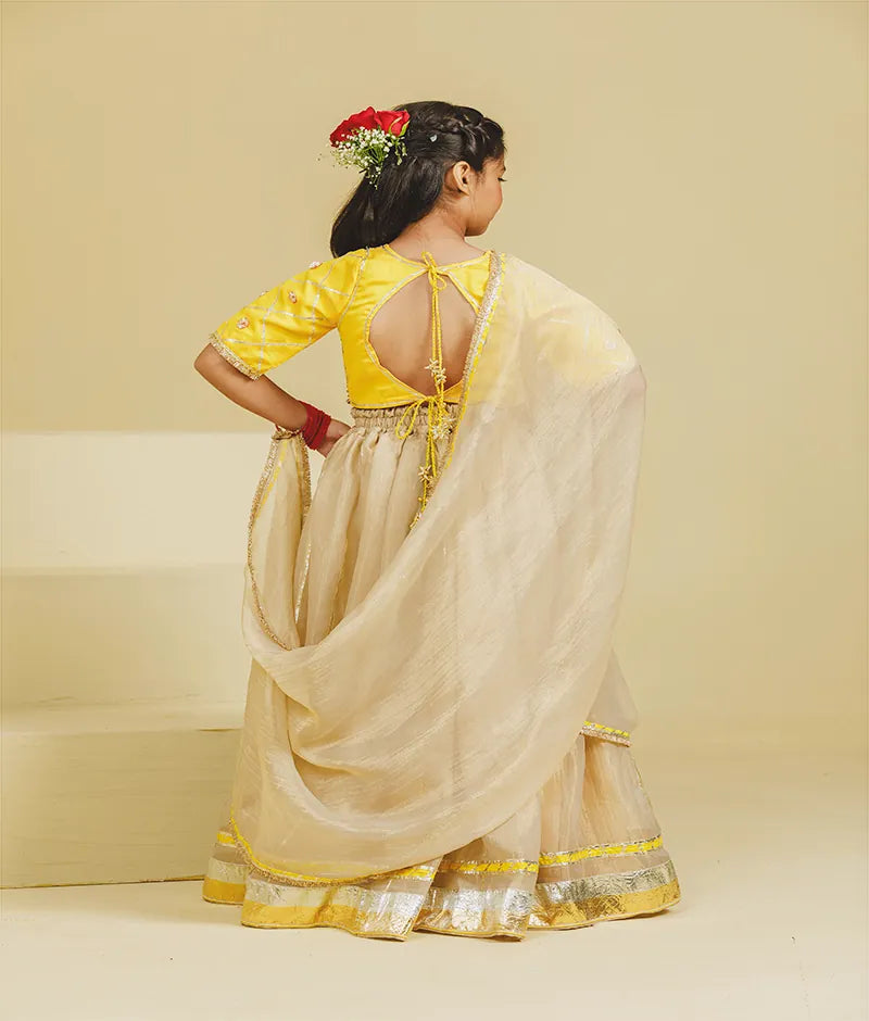 Luxe Yellow Aangi Choli with Lehenga Set