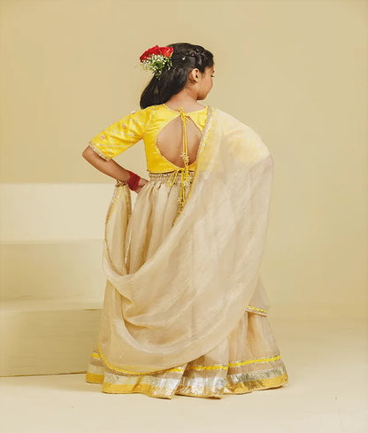 Luxe Yellow Aangi Choli with Lehenga Set