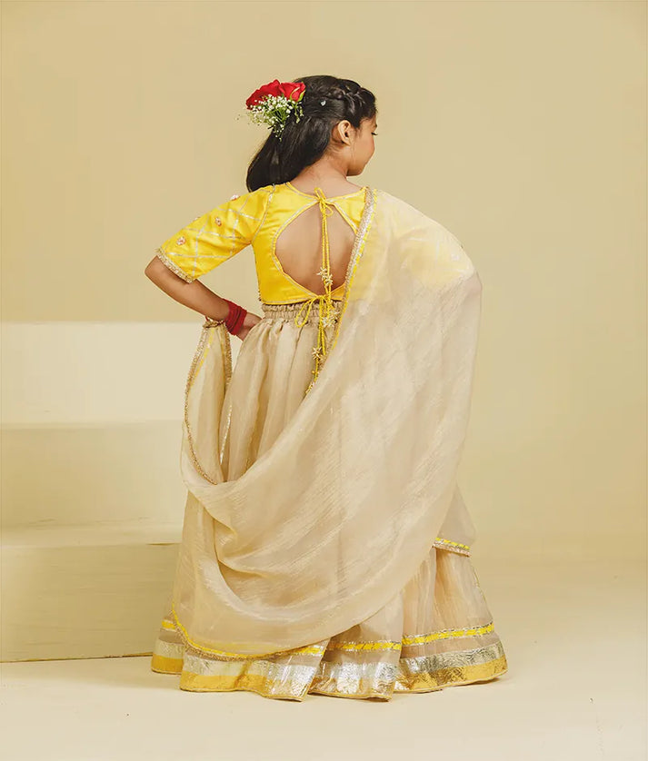 Luxe Yellow Aangi Choli with Lehenga Set
