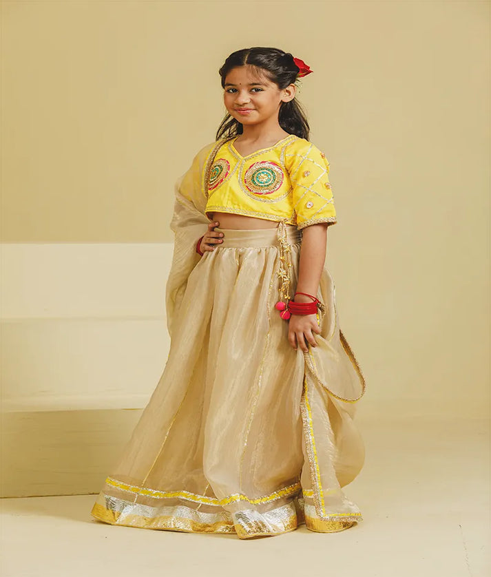Luxe Yellow Aangi Choli with Lehenga Set