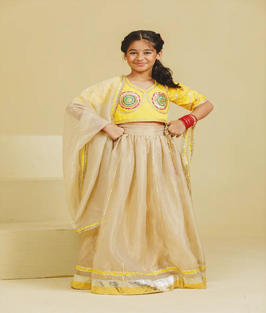 Luxe Yellow Aangi Choli with Lehenga Set