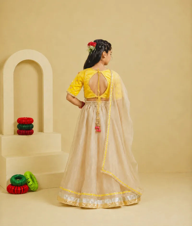 Luxe Yellow Aangi Choli with Lehenga Set fayon_teens