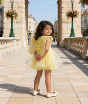 Luxe Yellow Embroidered Party Frock